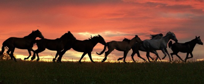 Embrace the craving -- run wild in the precious freedom of a life lived selflessly. 