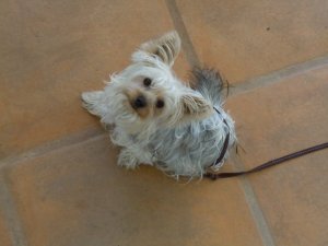 Happy memories of life around the world with my Poppy.