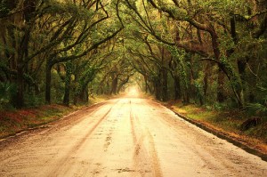 The path is straight and sure, but that doesn't mean you can see its end.