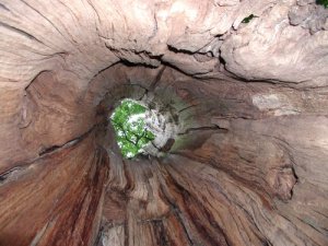 Do you feel hollow, strong on the outside but empty and dead on the inside?